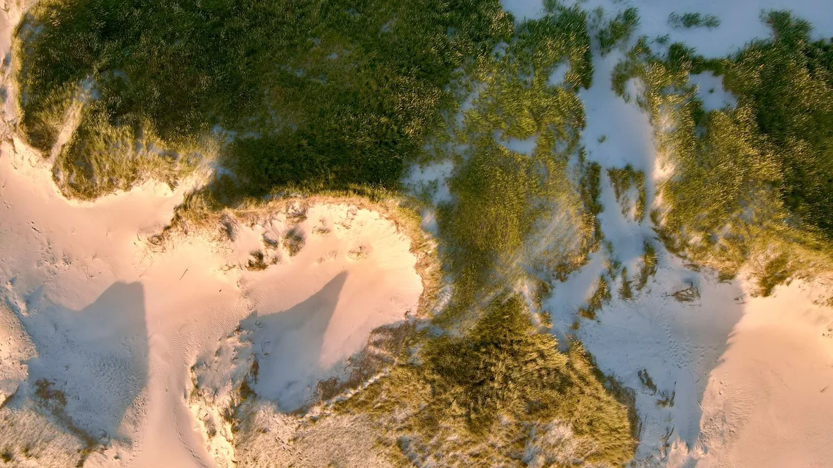 Drone shot of sand dunes and vegetation in Hvide Sande, Denmark.